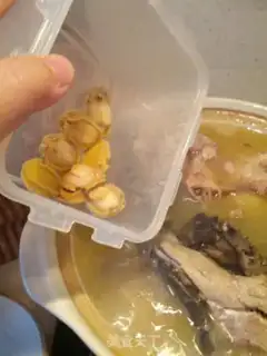 Make Family abalone step 3