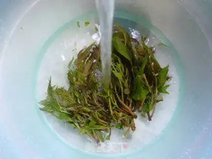 Make The fragrance of peanuts step 2