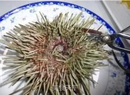 Make Sea urchin stew step 0