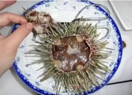 Make Sea urchin stew step 1