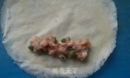 Make Spring rolls step 3
