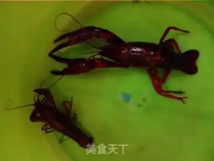 Make Spicy lobster step 0