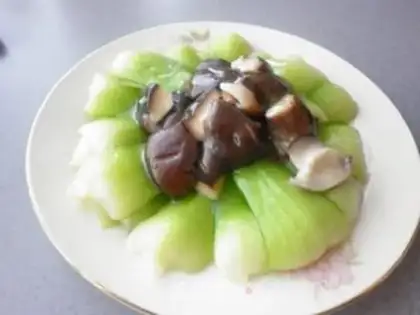 Make Mushroom oil step 6