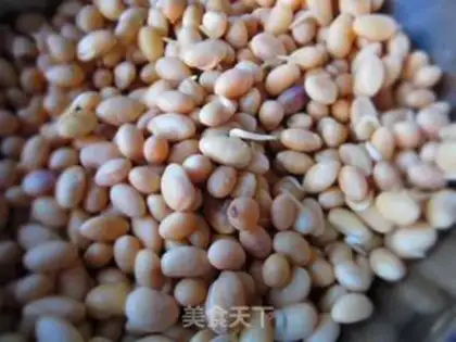 Make Sprouts step 3