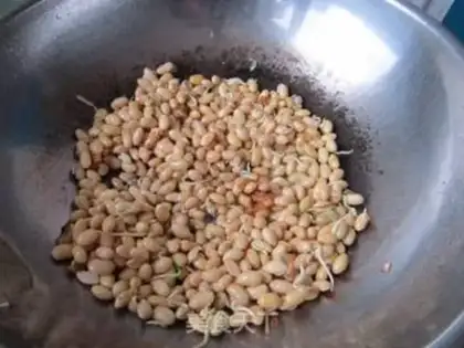 Make Sprouts step 6