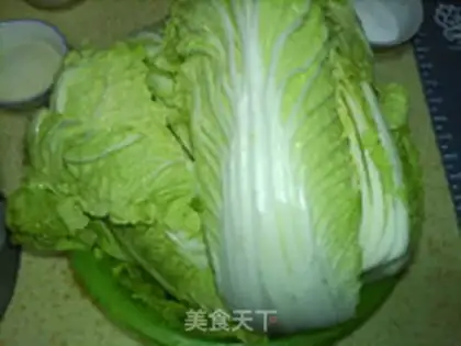 Make Northeast yogurt step 1