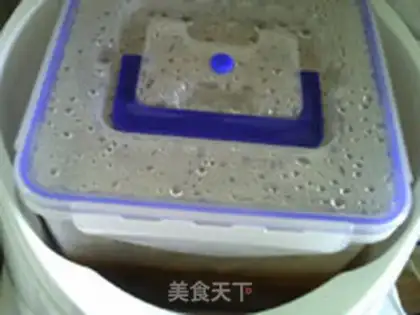 Make Northeast yogurt step 11