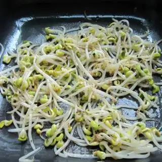 Make Soybeans step 6