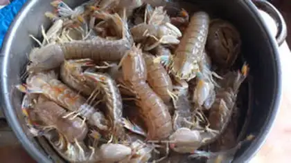 Make Skinned shrimp step 1