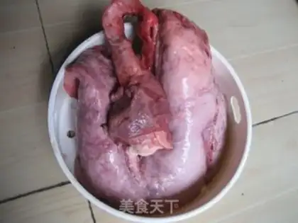Make Sydney Piggy Lung step 0