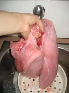 Make Sydney Piggy Lung step 1