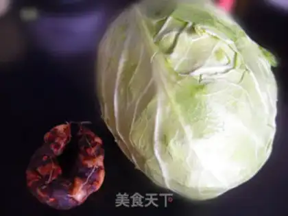Make Cream of cabbage step 0