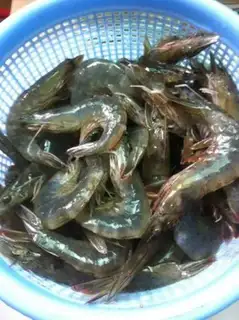 Make Boiled shrimp step 2