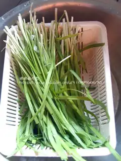 Make Shrimp pickle box step 1