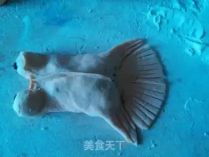 Make Goldfish steam step 10