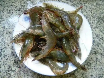 Make Shrimp step 0