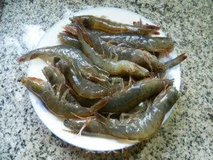 Make Shrimp step 3
