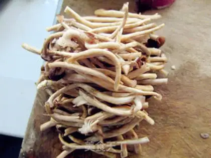 Make A dry pot of tea and mushrooms step 1