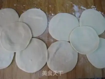 Make Fresh pot sticker step 4