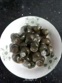 Make Snail bone step 0