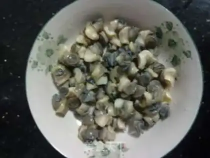 Make Snail bone step 1