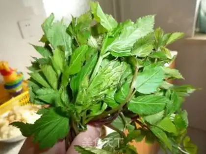 Make Celery step 0
