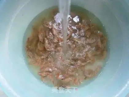 Make Snowseed shrimp step 3