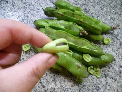 Make ♪ Caucasian white beans ♪ step 2