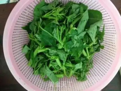 Make Blank cabbage step 0