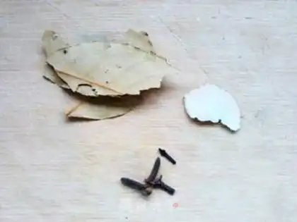 Make The cucumber step 11