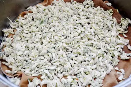 Make Steam flowers step 4