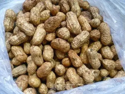 Make Salt-water peanuts step 0