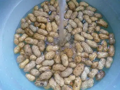 Make Salt-water peanuts step 2