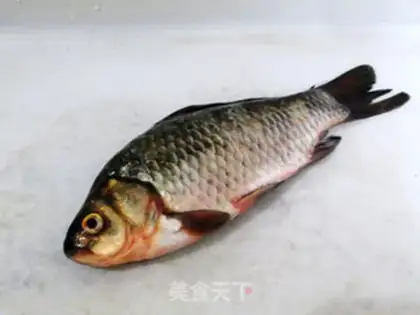 Make Beanfish step 0