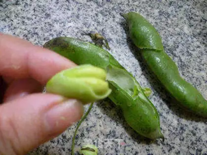 Make A sour chicken step 3