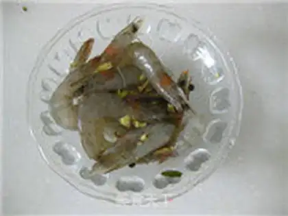 Make Shrimp step 0