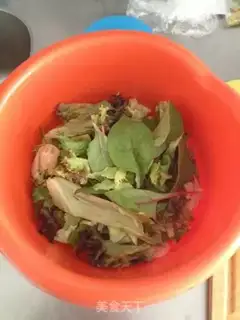 Make Squid ramen salad step 5