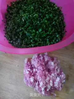 Make Pork dumplings step 0