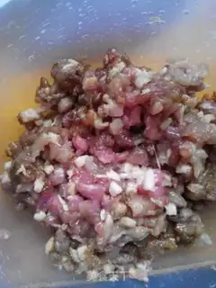 Make Pork dumplings step 2