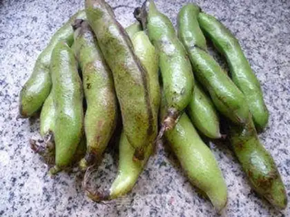 Make Bean-cooked number five step 0