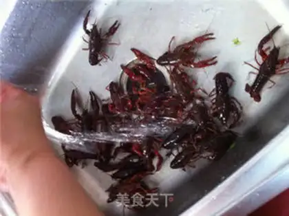 Make Beer lobster step 0