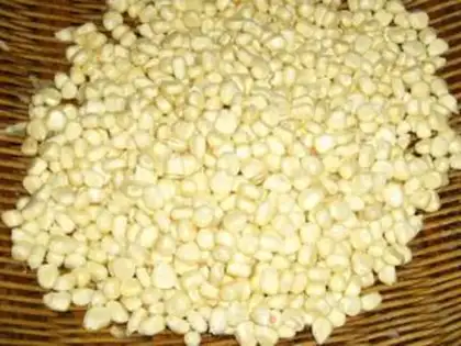 Make Gold corn step 0