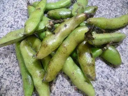 Make Snow fragrance with fried beans step 0