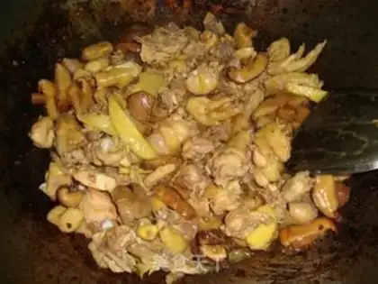 Make Frozen chicken step 7