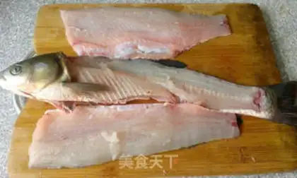 Make Squidfish step 1