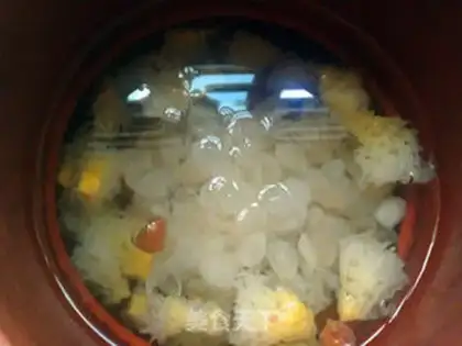 Make Snow Lotus