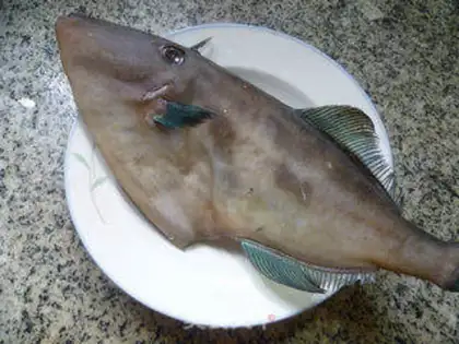 Make Dry-burned rubber fish step 0