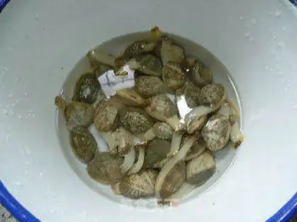 Make ♪ White and fried clams ♪ step 0