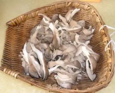 Make Spicy mushrooms step 0