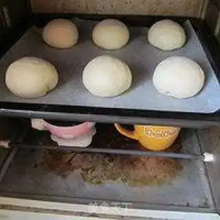 Make Sesame yogurt step 10